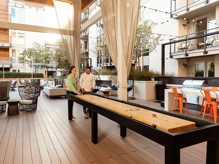 Shuffleboard
