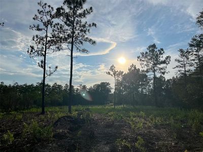 Holopaw Rd #66, Saint Cloud, FL, 34773