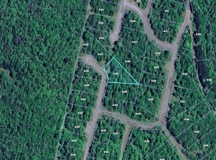 0 Canal St #106, Davis, WV 26260