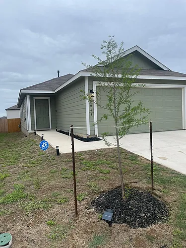 8043 Nube Medina Photo 1