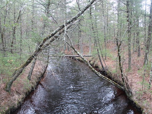 5th image of W8910 County Road O