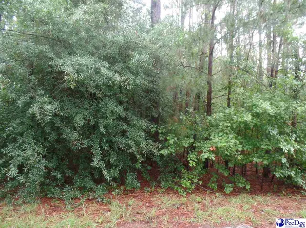 Palmetto Dr, Hartsville, SC 29550