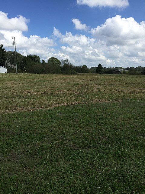 2nd image of 34 Walker Lake Dr