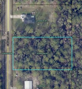 10110 Flikkema Ave, Hastings, FL, 32145