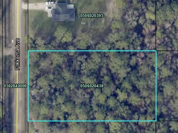 10110 Flikkema Ave, Hastings, FL 32145
