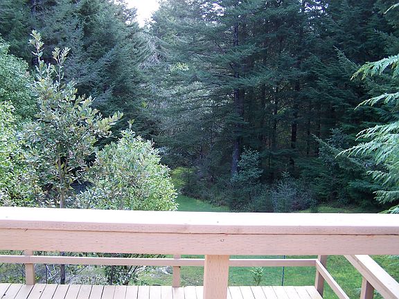 View from back deck