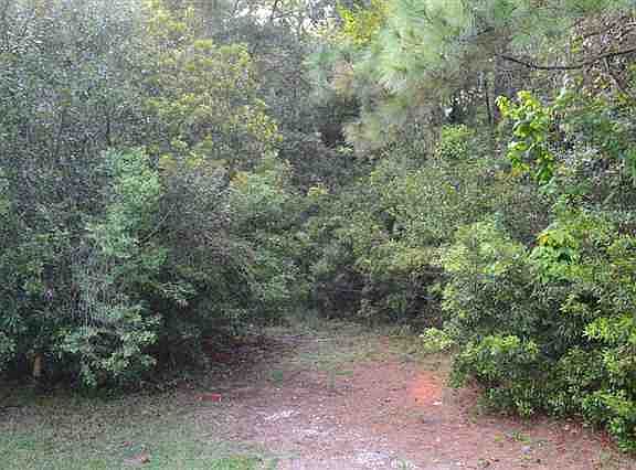 5th image of Lot 124 Jerry Ct. Lot 124 Waccamaw Lakes