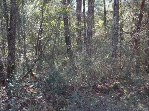 Montyna Ln, Alford, FL 32420