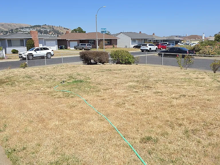 Large front lawn
