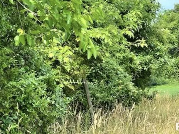 0 Tunnel Hill Rd, Ozark, IL 62972