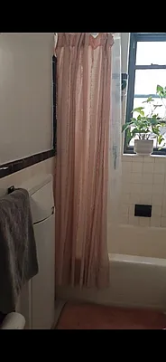 Rented by Manhattan Flats | media 11