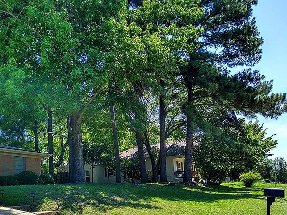 East Side Pine Tree Lotline