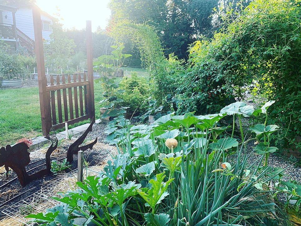 Community garden