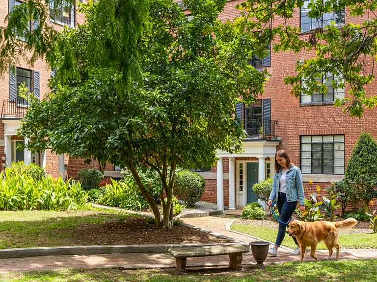 Cameron Court Apartments — Photo 37