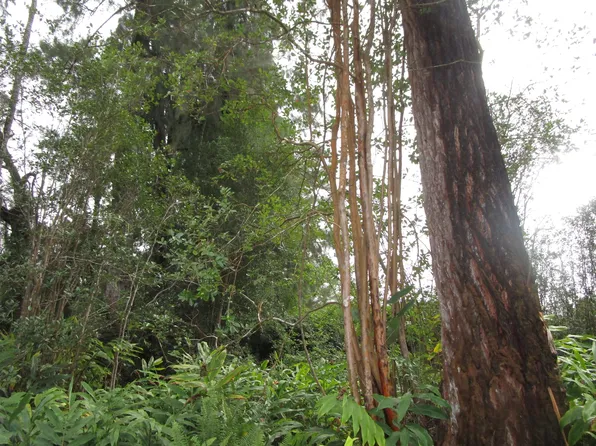 18-4101 Hulu St Lot 90, Volcano, HI 96785