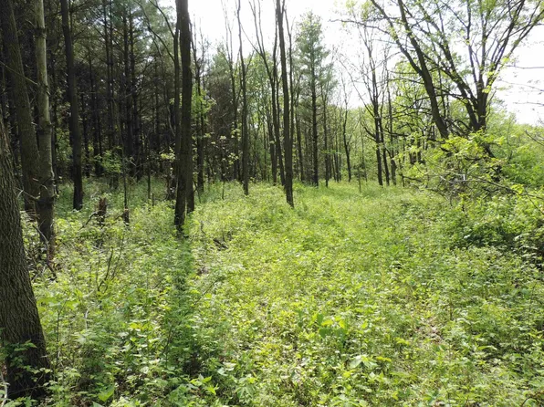 0 Thunder Hills Road, Lodi, WI 53555