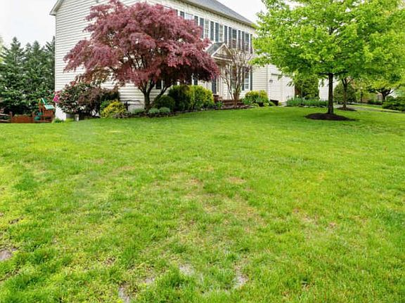 3rd image of 7795 Royal Sydney Dr