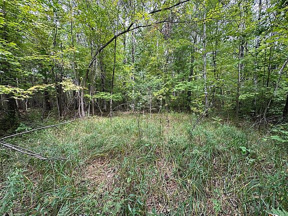 5th image of W Fork Rd