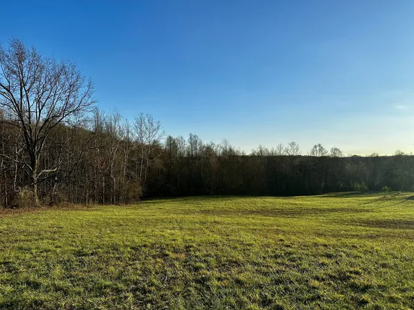 7342 Dutch Ridge Rd SE Tract 1, New Straitsville, OH 43766