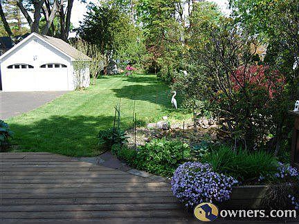 Backyard. Total property almst 1/2 acreo