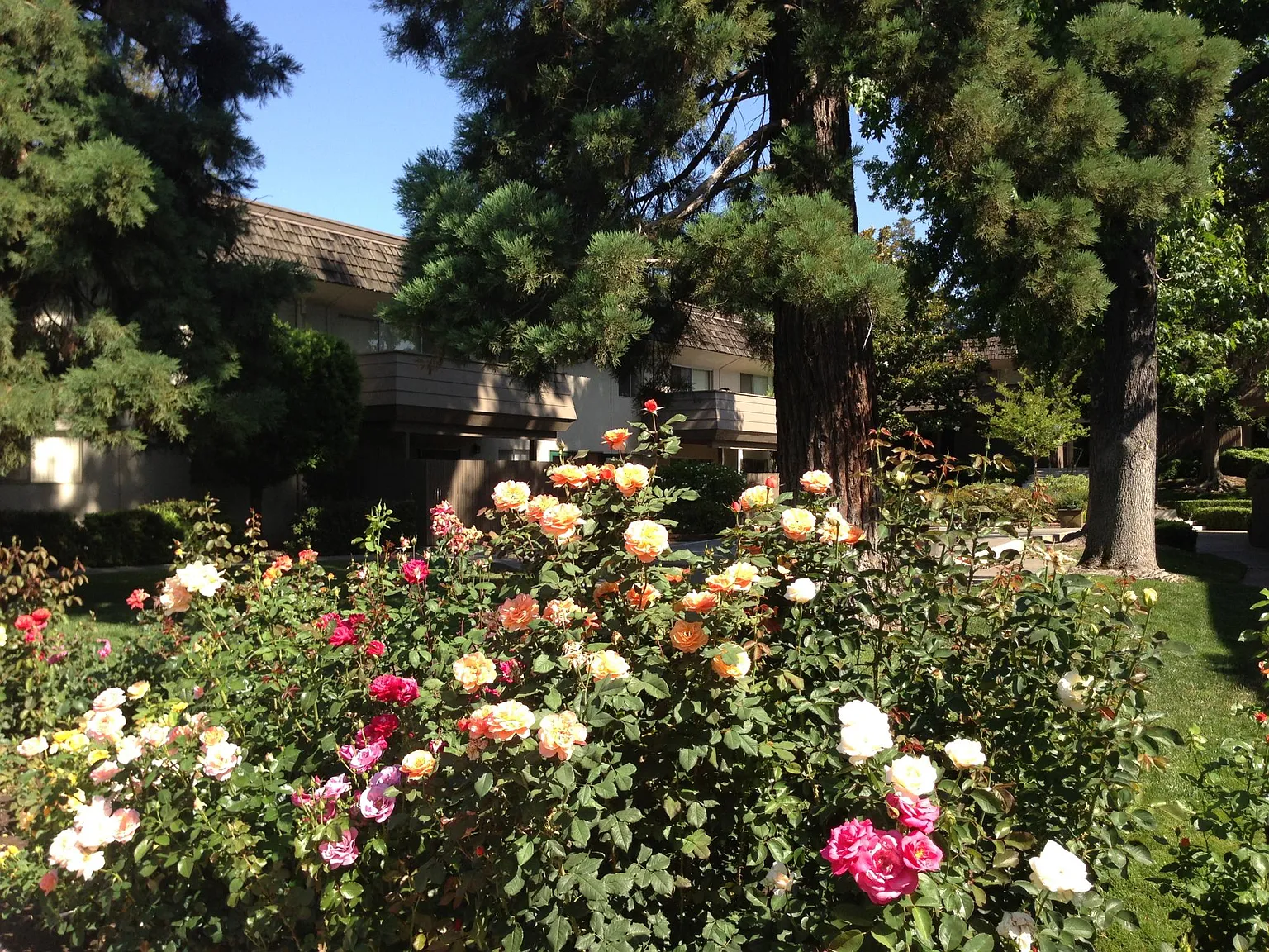 Hacienda Apartments — Photo 4