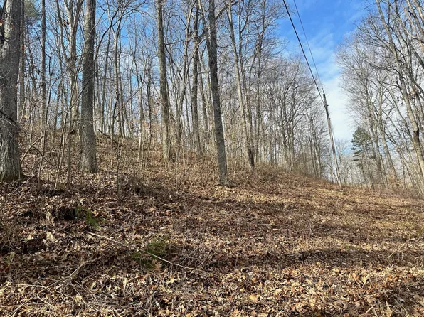 W Side Red Hollow Rd, Beaver, OH 45613