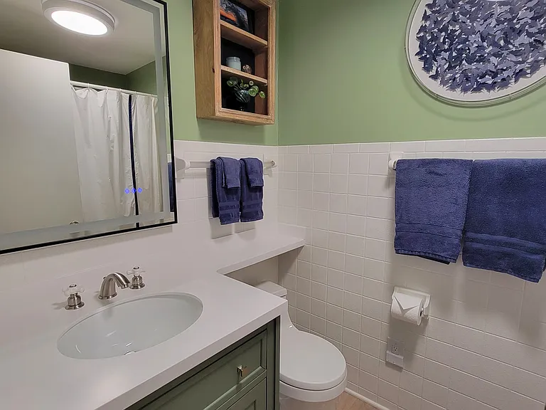 Bathroom #1 has a tub, handheld sprayer, and rainfall showerhead