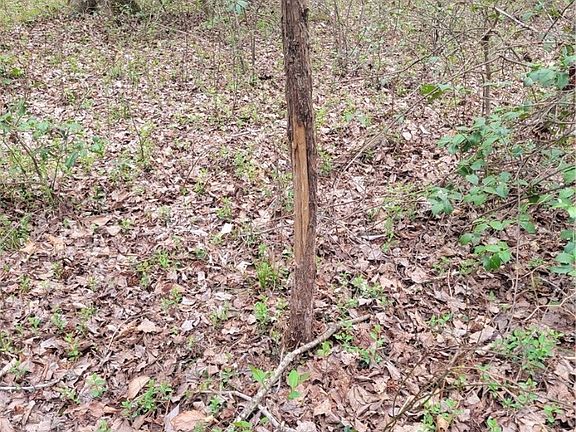 2nd image of 11121 Coalboro Rd Lot 47