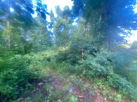 2nd image of 0 Oak Hill Dr