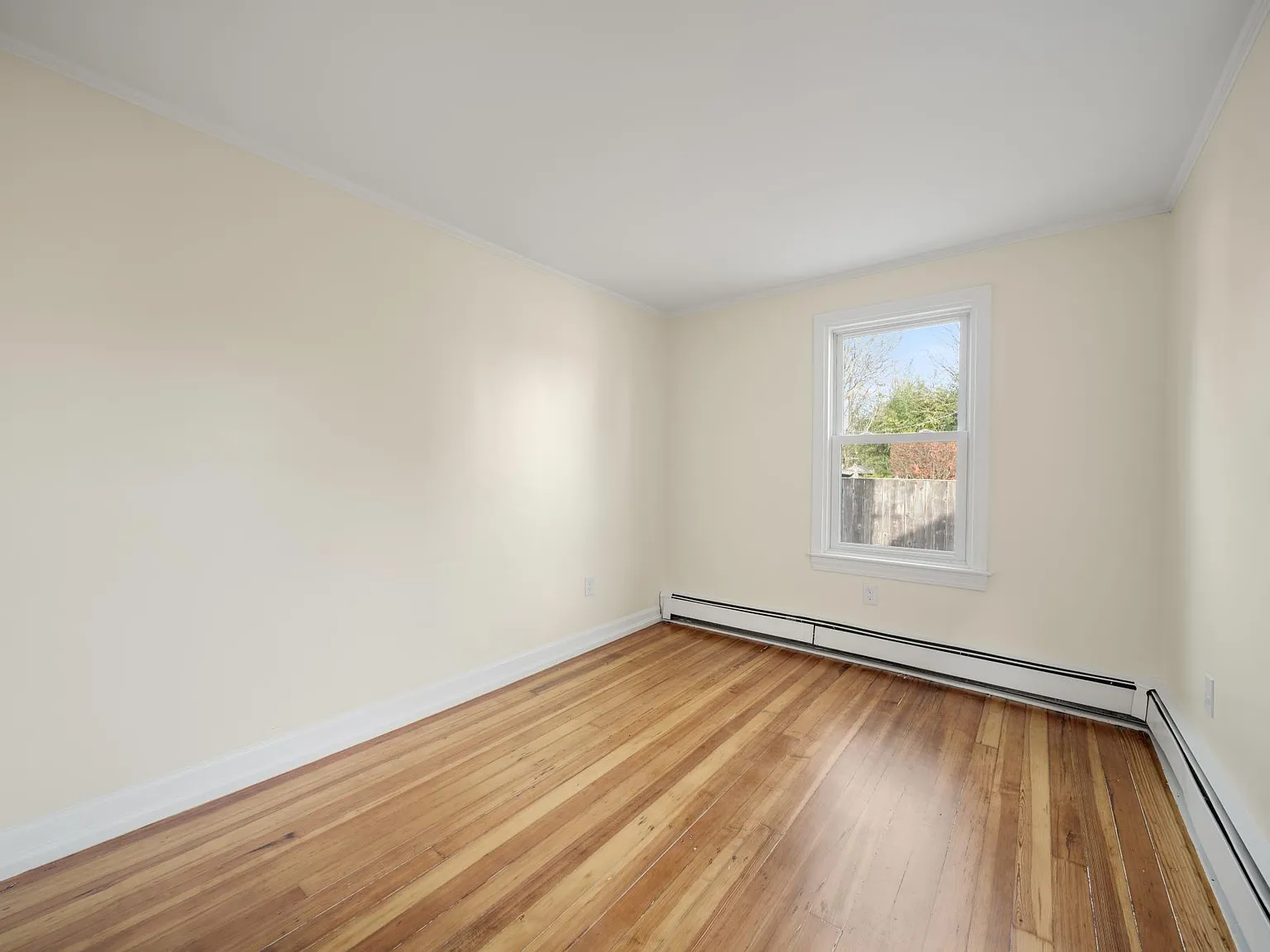 24 Tilden Ave — Photo 4