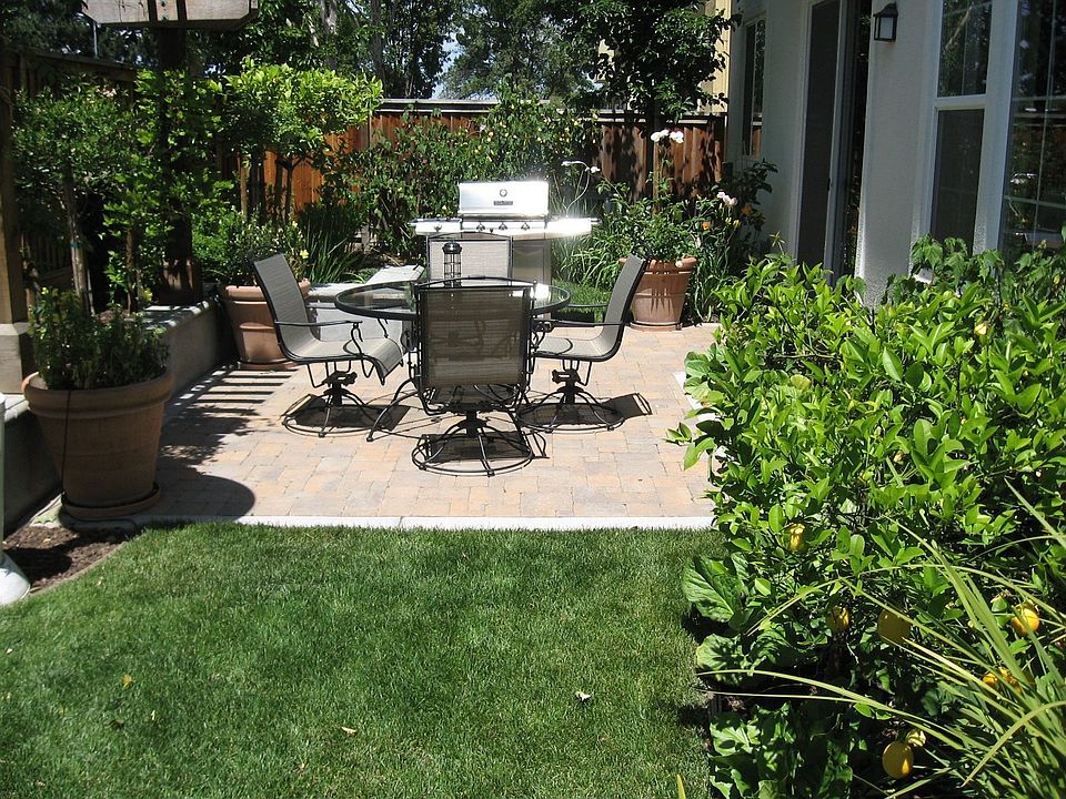 Fully Landscaped Backyard