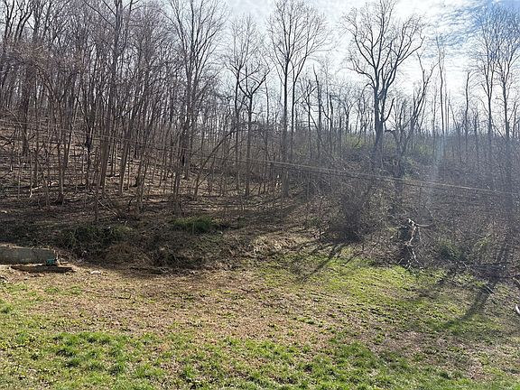 2nd image of 192 Blevins Rd