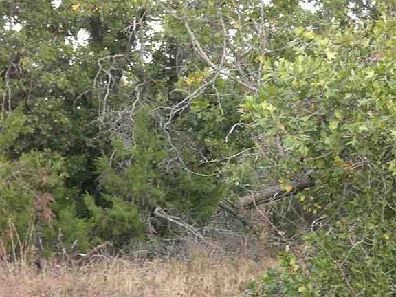 4th image of 15254 S County Road 208