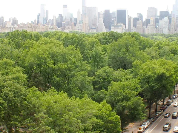 257 Cpw image 1 of 18
