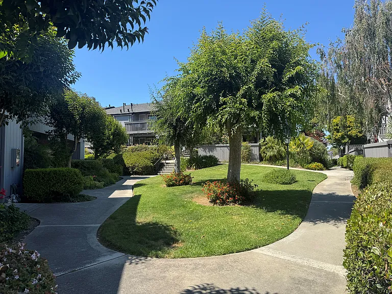 2214 Almaden Rd #B — Photo 23