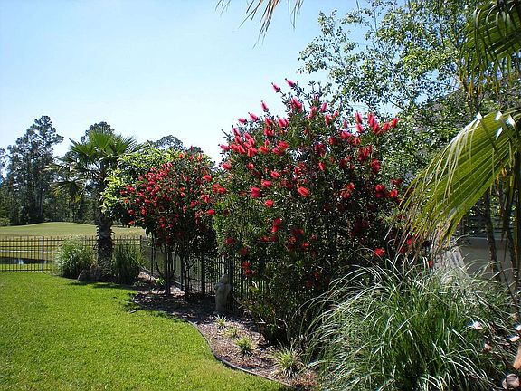 Side Yard View