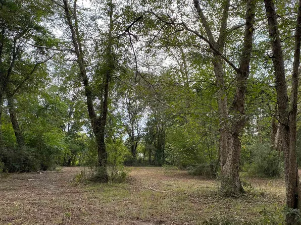 14600 Old Pascagoula Rd, Grand Bay, AL 36541