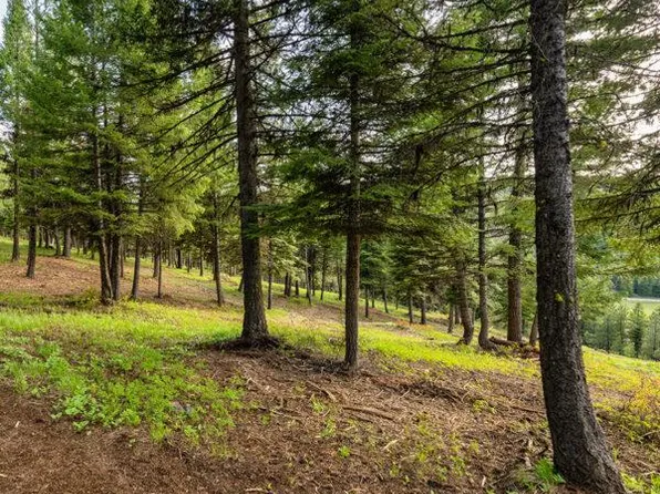 18 To Be Determined, McCall, ID 83638