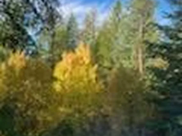 904 Old Dominion Rd, Colville, WA 99114