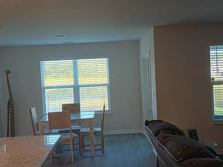 Gorgeous view from the kitchen, breakfast area. and living room!
(Master bedroom has a view too - pics coming soon!)