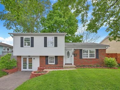 56 Annette Ave, Newark, OH, 43055