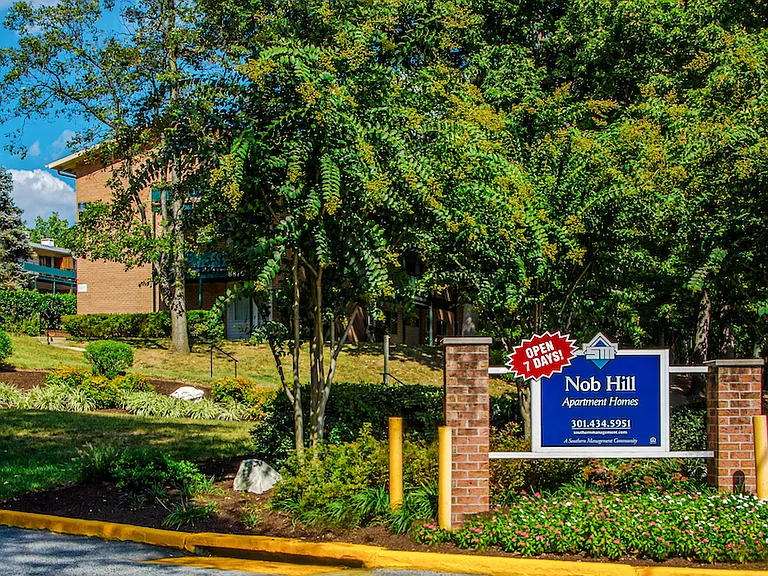Nob Hill — Photo 4