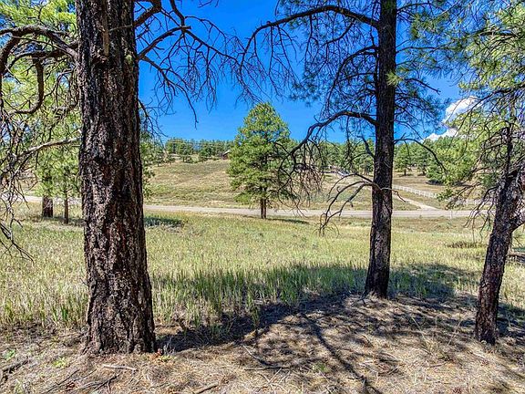 3rd image of 233 Stagecoach Lane