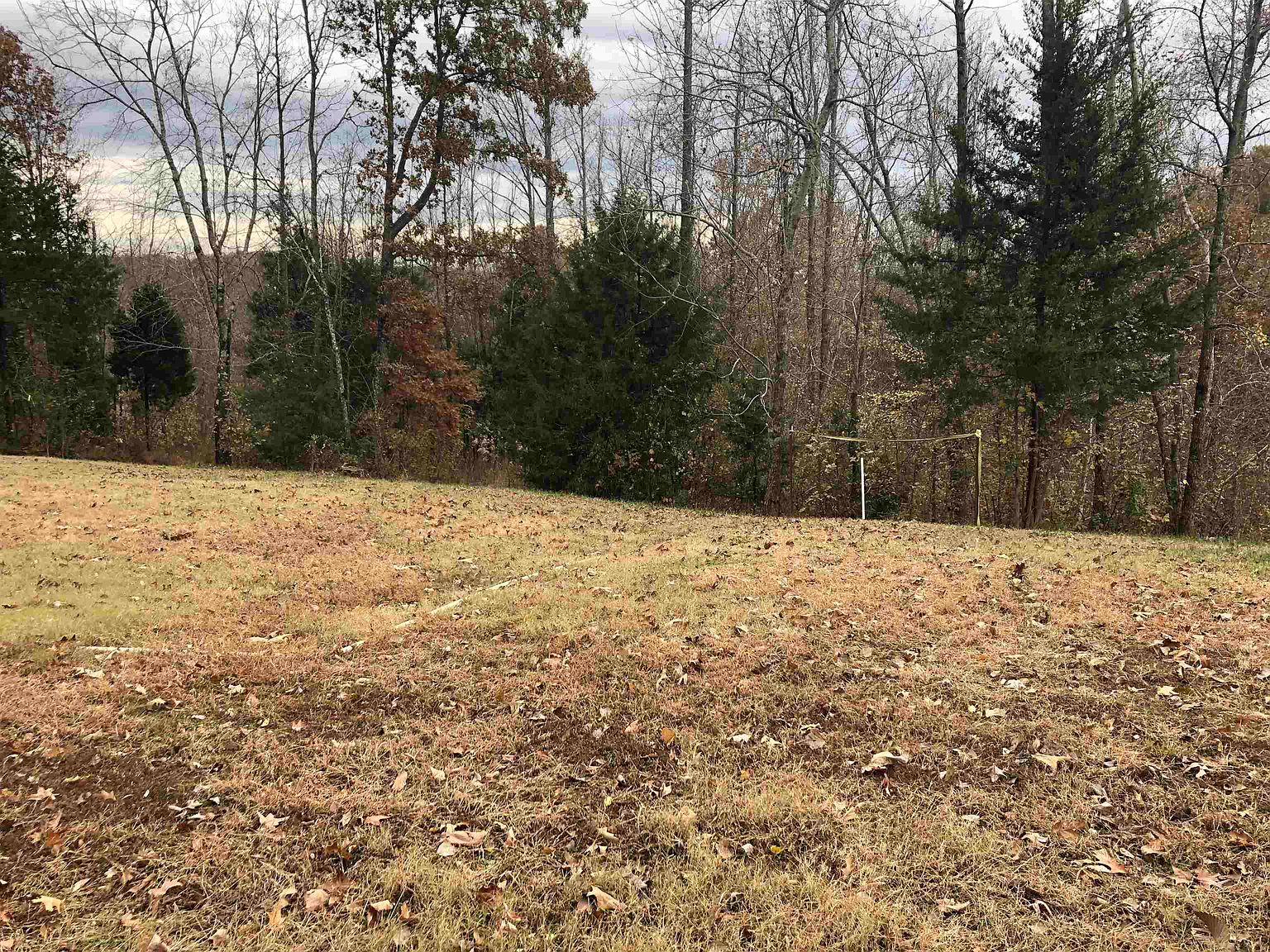 0 Elm Grove Rd, Burlison, TN 38015 MLS 10168969 Zillow