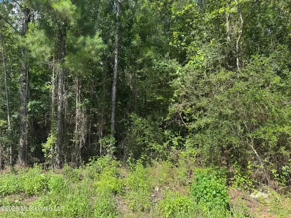 0 Schrader Ct Lot 199, Saucier, MS 39574