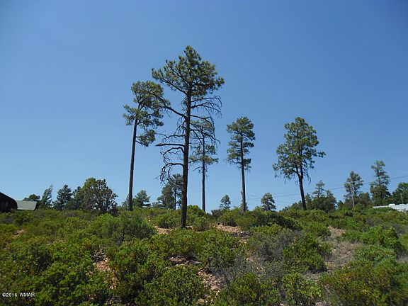 3rd image of 958 Navajo Trl