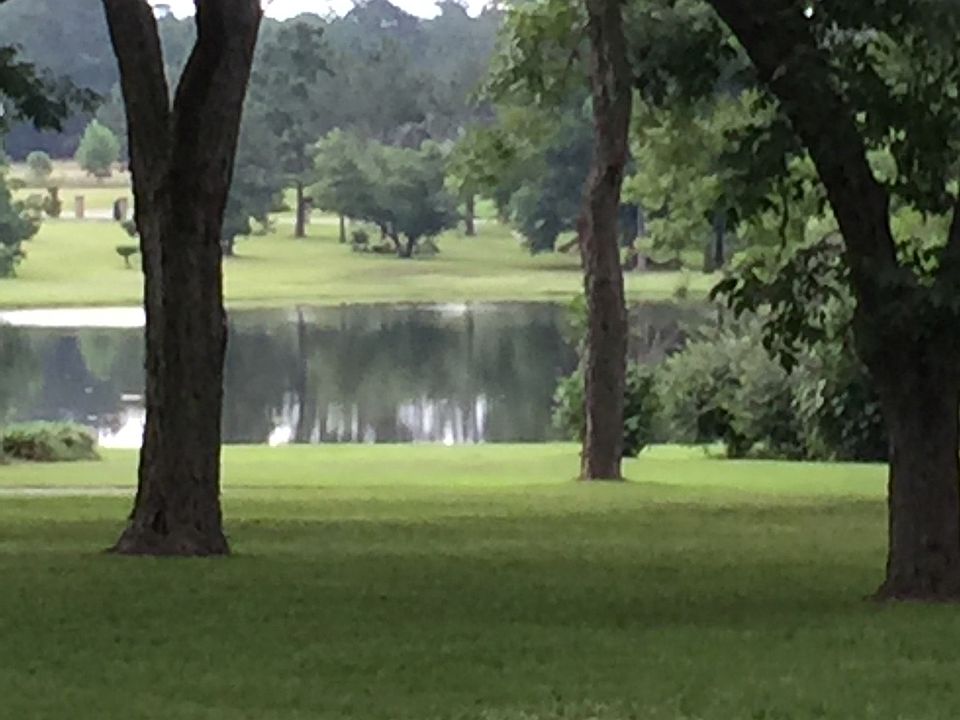 Pond view