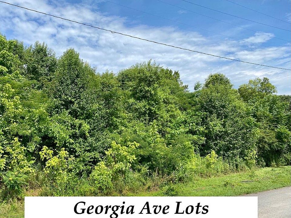 2nd image of 0 Georgia Ave
