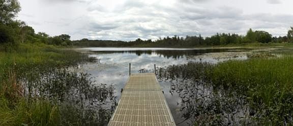 Frontage on Hemingway Lake -