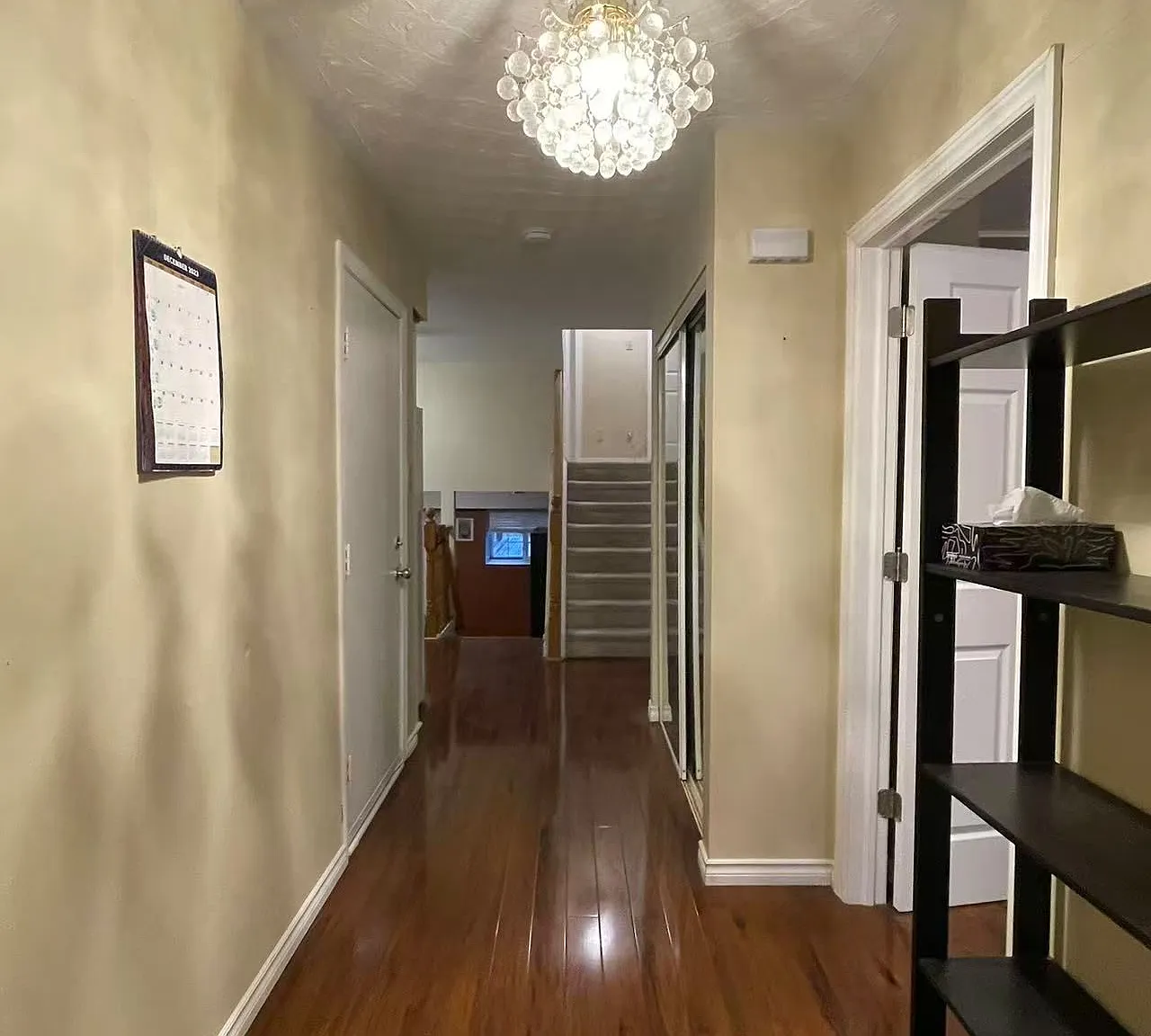 1 bed, $800 — Photo 3